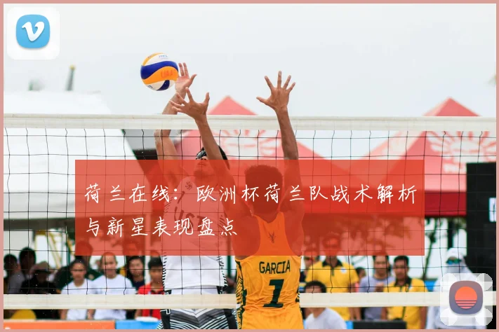 荷兰在线:欧洲杯荷兰队战术解析与新星表现盘点