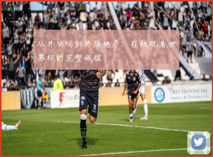 从开场哨到终场绝杀：在线观看世界杯的完整旅程