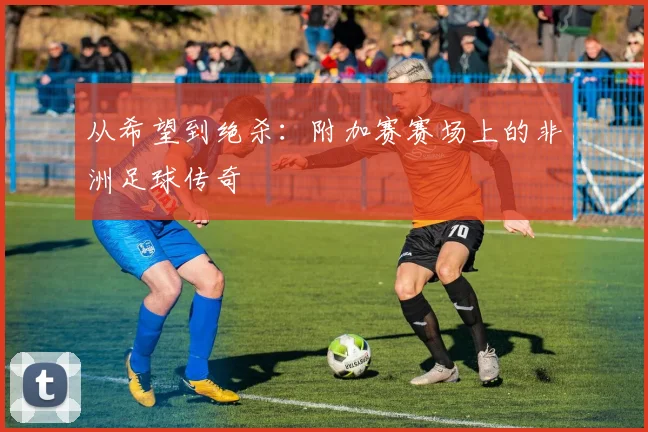 从希望到绝杀：附加赛赛场上的非洲足球传奇