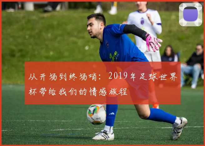 从开场到终场哨：2019年足球世界杯带给我们的情感旅程