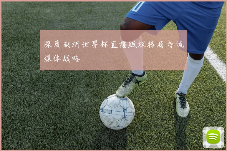 深度剖析世界杯直播版权格局与流媒体战略